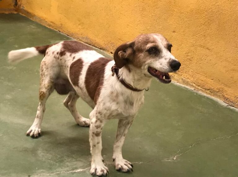 multimedia-foto59118-986-1