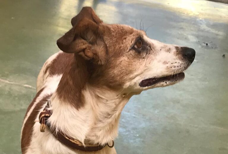 multimedia-foto59119-987-1