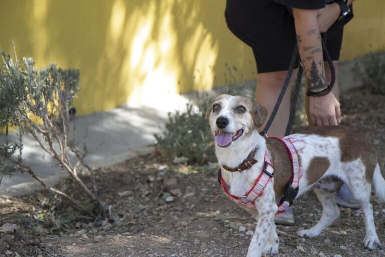 multimedia-foto59120-987-1