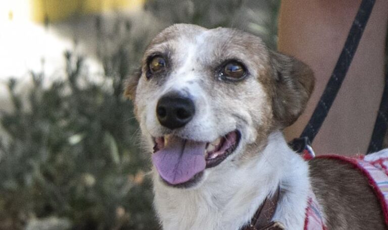 multimedia-foto59122-987-1