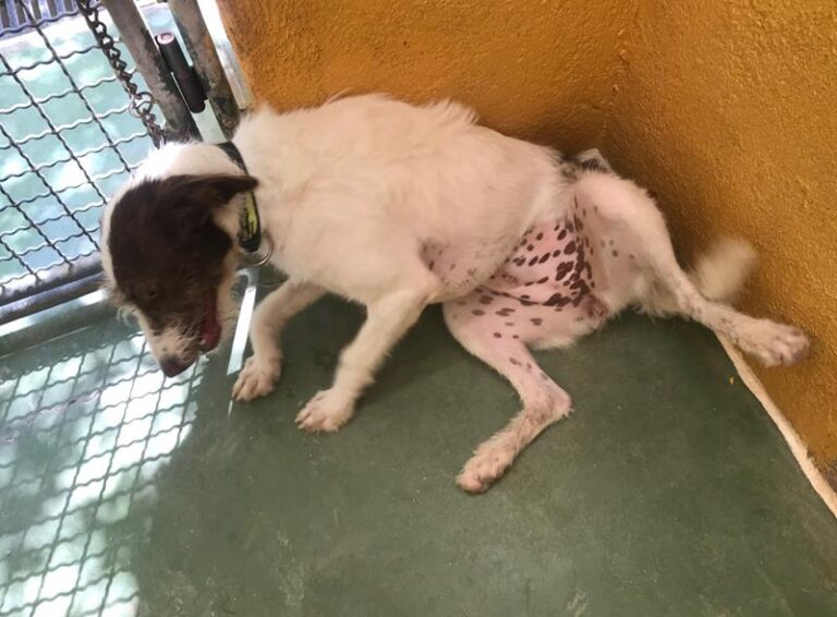 multimedia-foto59132-523-1