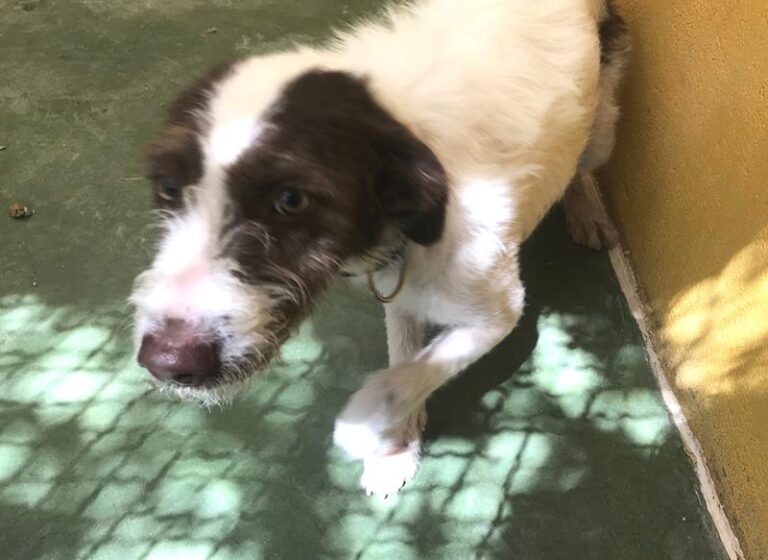 multimedia-foto59133-523-1