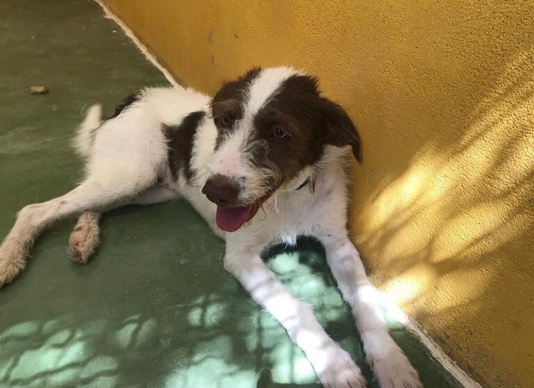 multimedia-foto59134-523-1