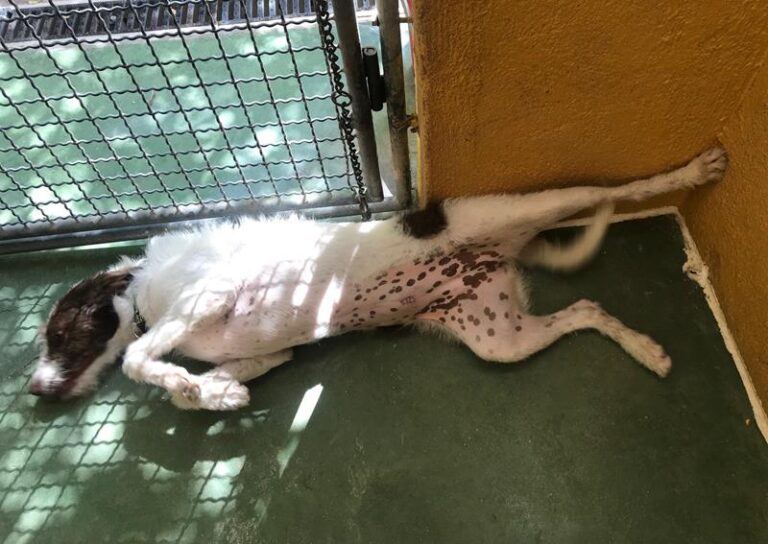 multimedia-foto59135-523-1