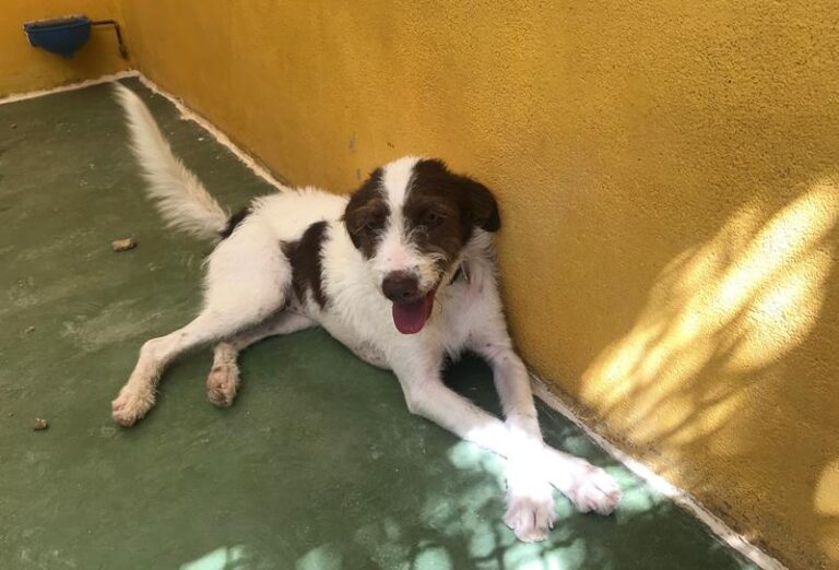 multimedia-foto59136-524-1