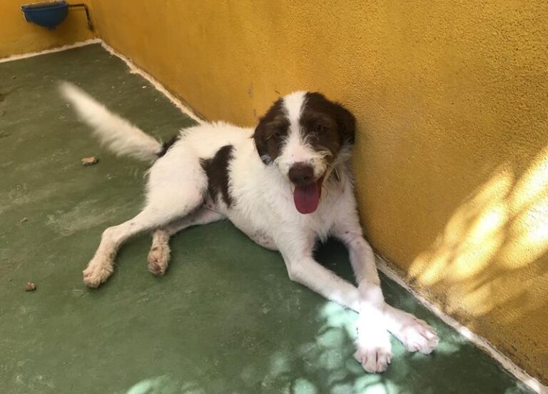 multimedia-foto59137-524-1