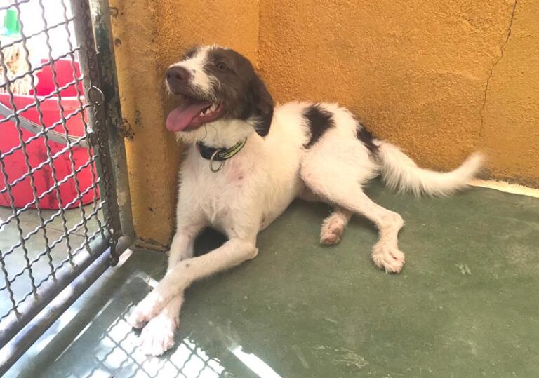 multimedia-foto59138-524-1