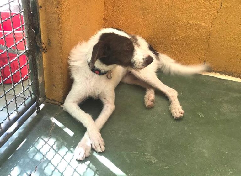 multimedia-foto59139-524-1