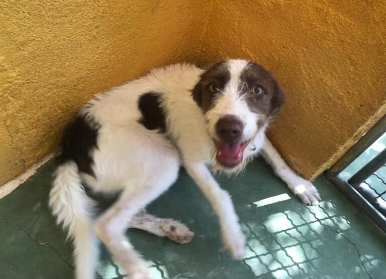 multimedia-foto59141-524-1