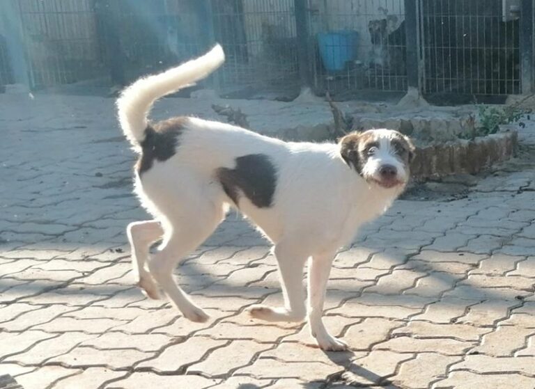 multimedia-foto59142-525-1