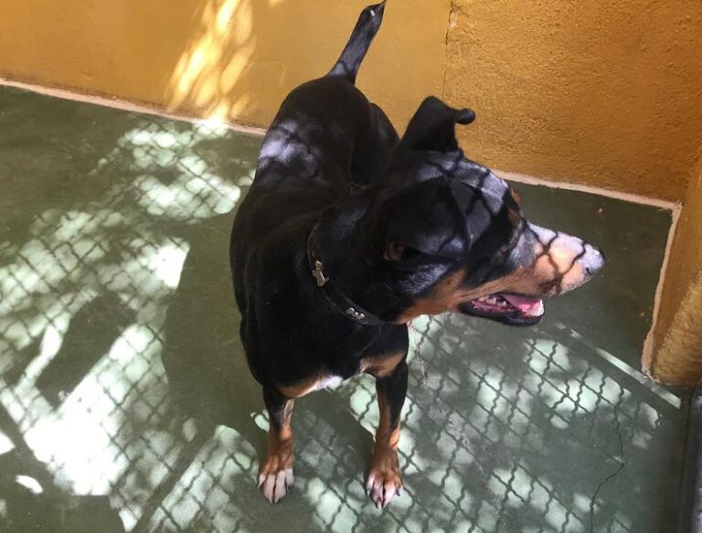 multimedia-foto59144-853-1