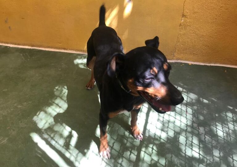 multimedia-foto59145-853-1