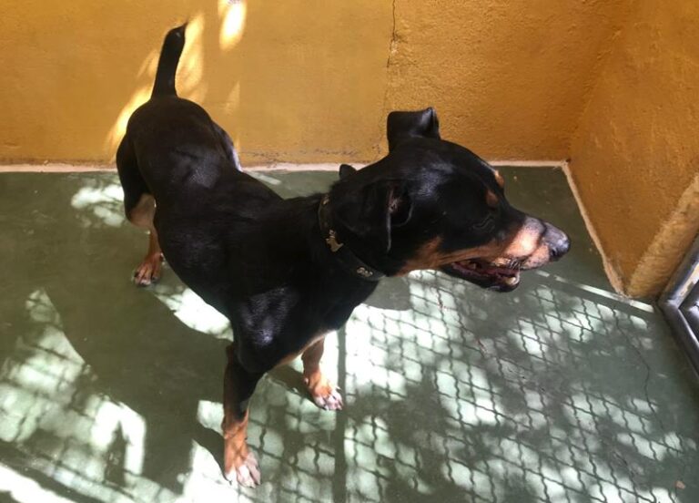 multimedia-foto59146-854-1