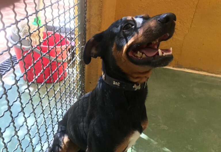 multimedia-foto59147-854-1