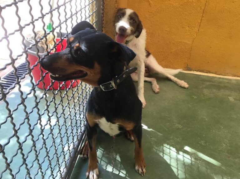 multimedia-foto59148-854-1