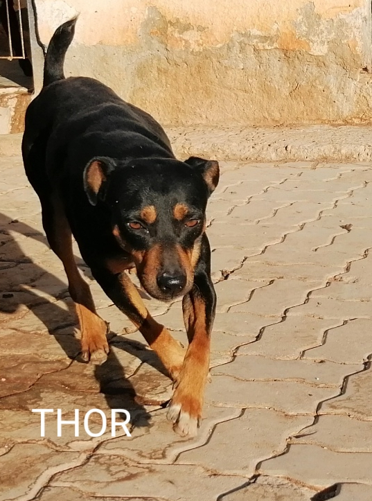 multimedia-foto59150-854-1