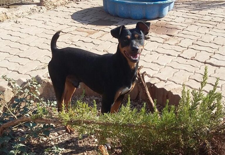 multimedia-foto59151-854-1