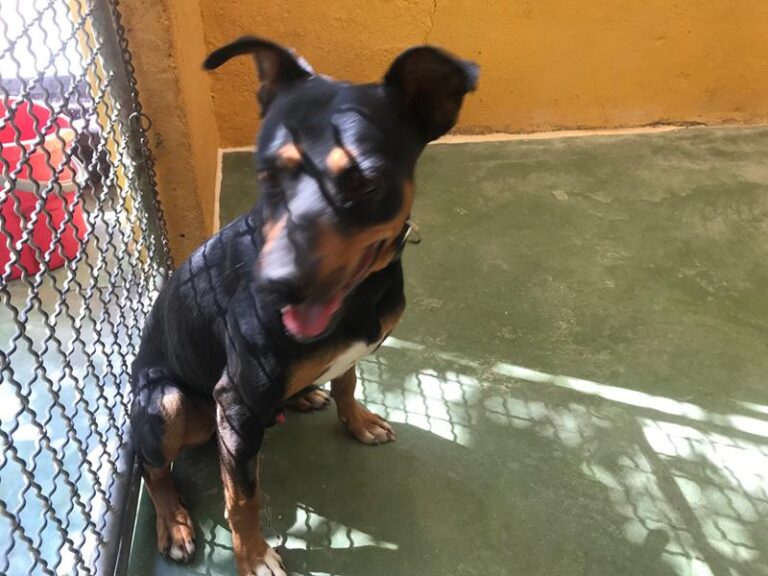 multimedia-foto59152-916-1