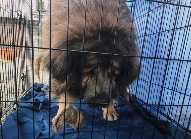 multimedia-foto59162-169-1