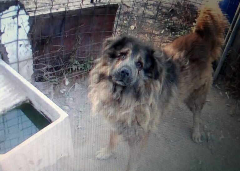 multimedia-foto59163-169-1