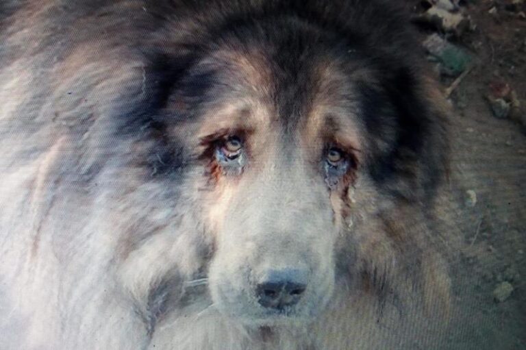 multimedia-foto59164-169-1