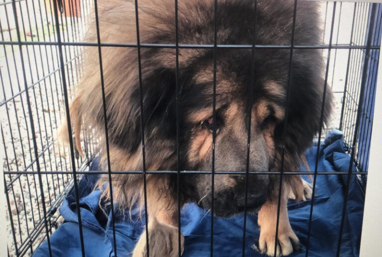 multimedia-foto59165-169-1