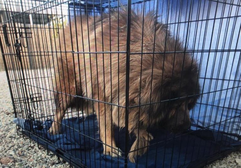 multimedia-foto59166-170-1