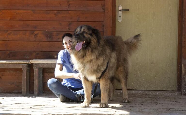 multimedia-foto59167-170-1