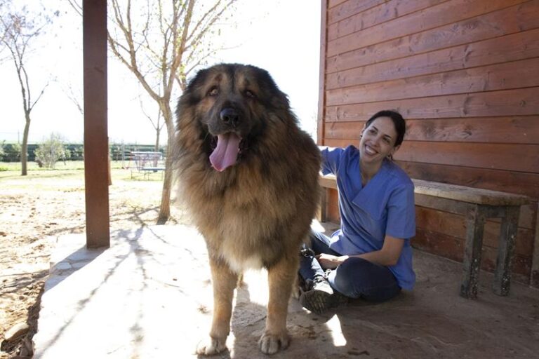 multimedia-foto59168-170-1