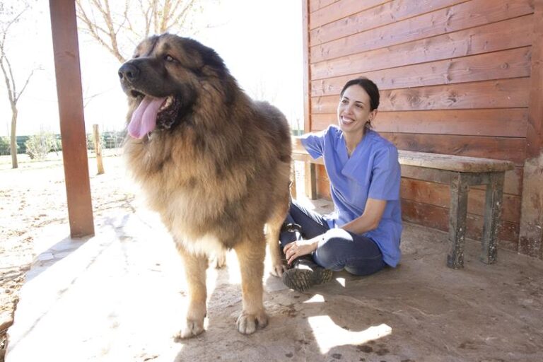 multimedia-foto59169-170-1