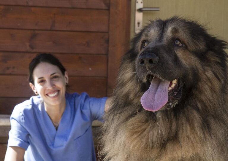 multimedia-foto59170-170-1