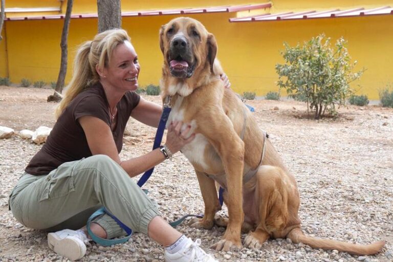 multimedia-foto59172-381-1