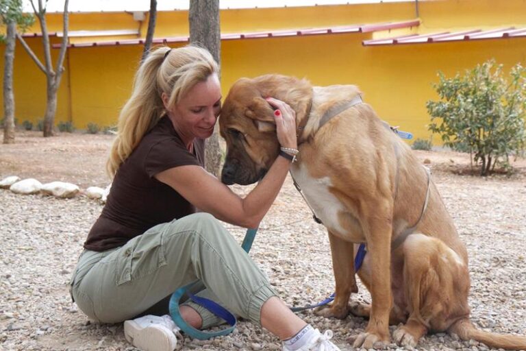 multimedia-foto59173-382-1