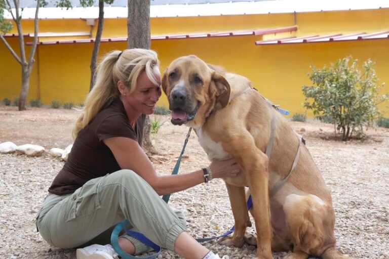 multimedia-foto59174-382-1