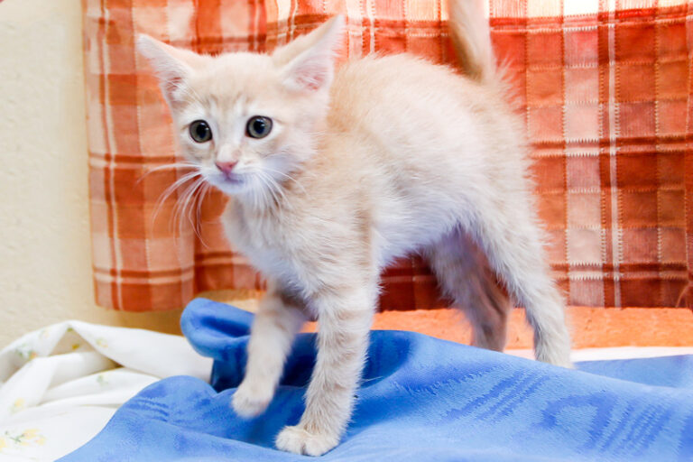 multimedia-foto59179-220-1