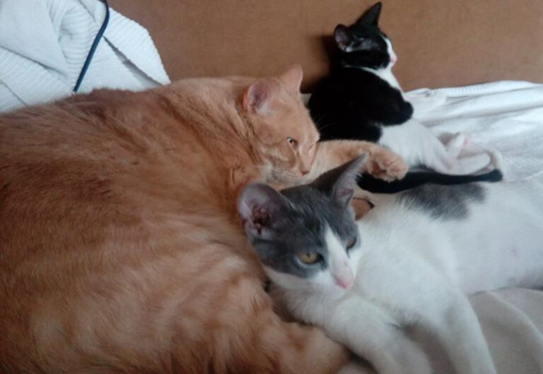 multimedia-foto59191-219-1