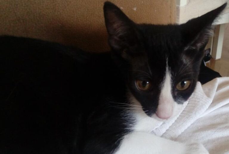 multimedia-foto59193-220-1