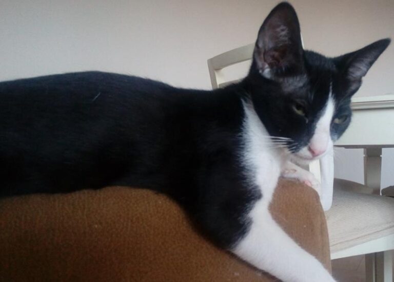 multimedia-foto59194-220-1