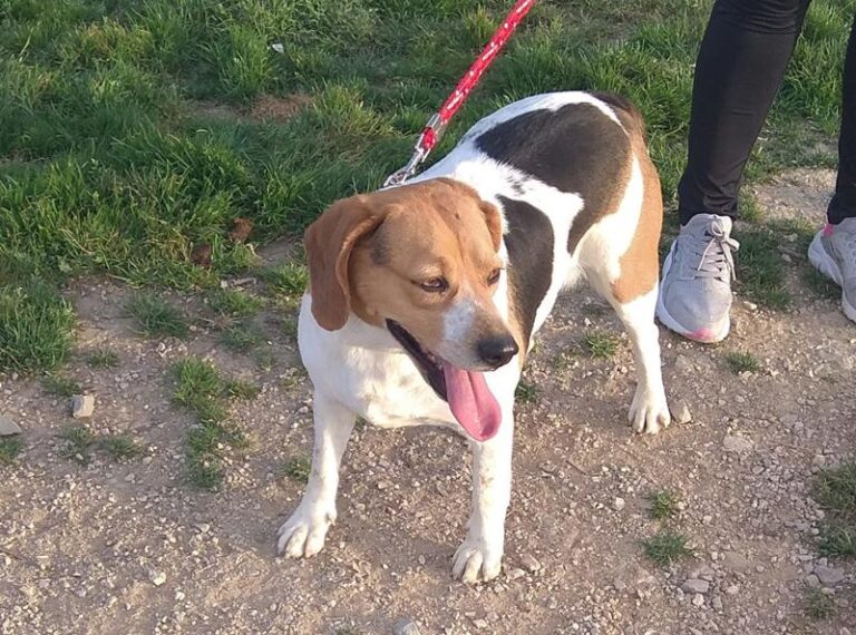 multimedia-foto59200-923-1