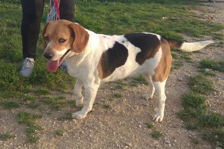 multimedia-foto59201-923-1