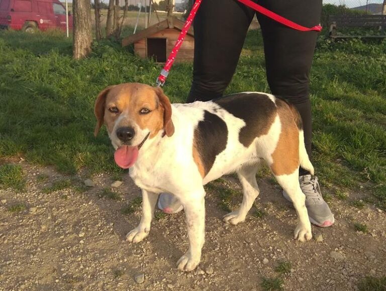 multimedia-foto59202-923-1