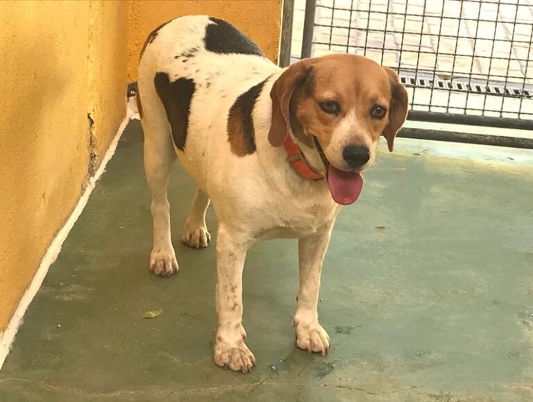 multimedia-foto59203-923-1