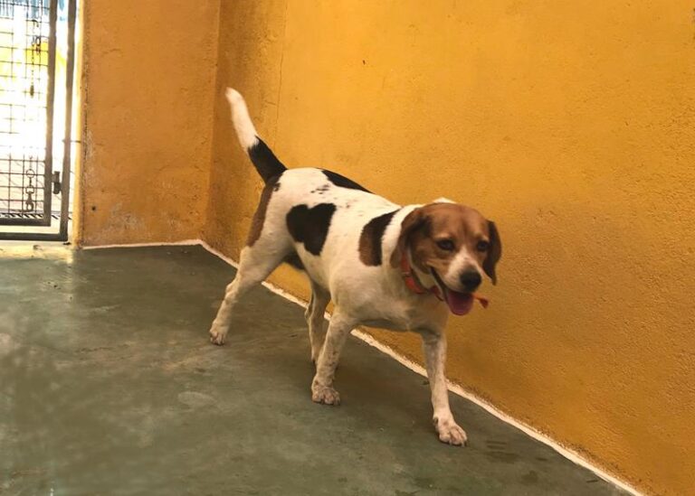 multimedia-foto59204-923-1