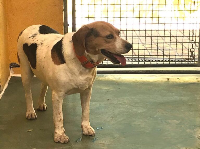 multimedia-foto59205-924-1