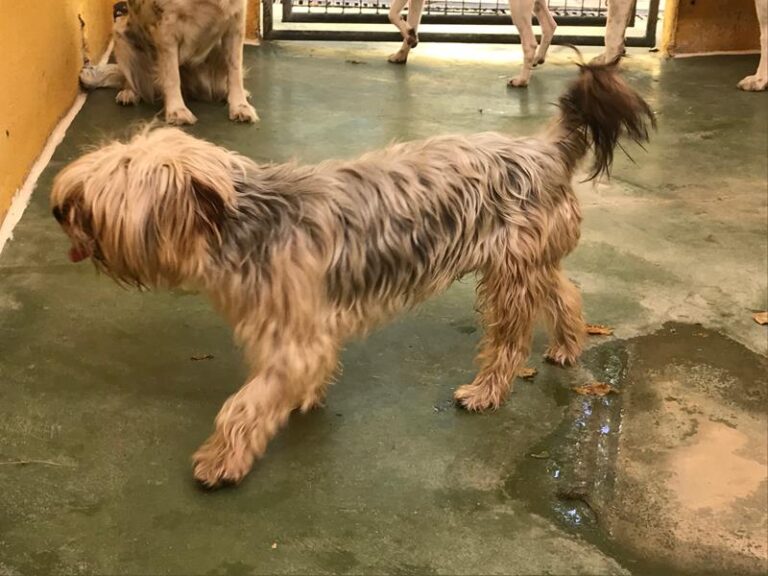 multimedia-foto59221-382-1