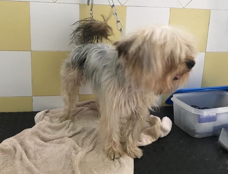 multimedia-foto59222-382-1