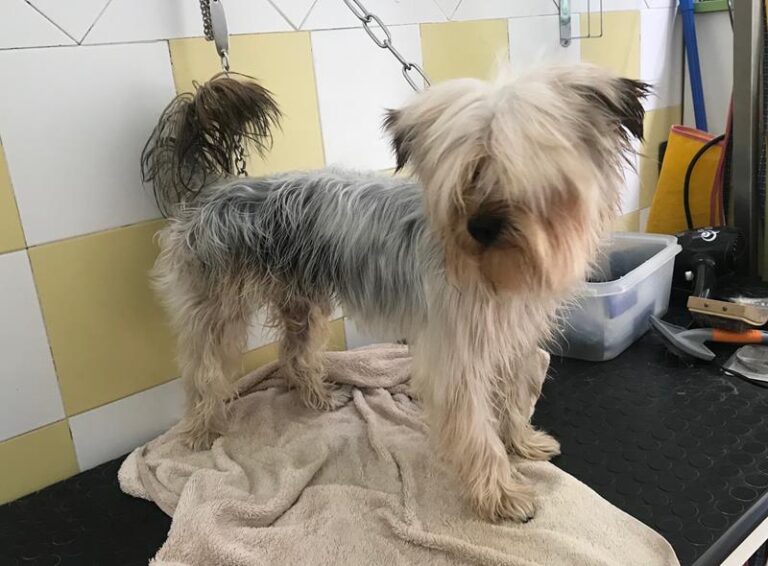 multimedia-foto59223-382-1