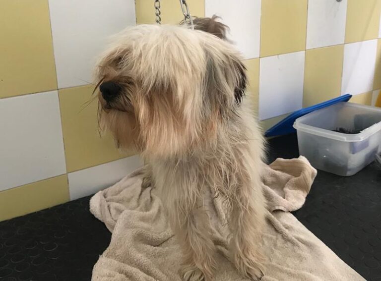 multimedia-foto59224-382-1