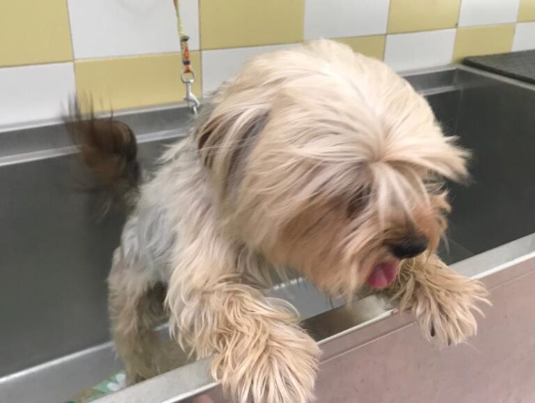 multimedia-foto59226-383-1