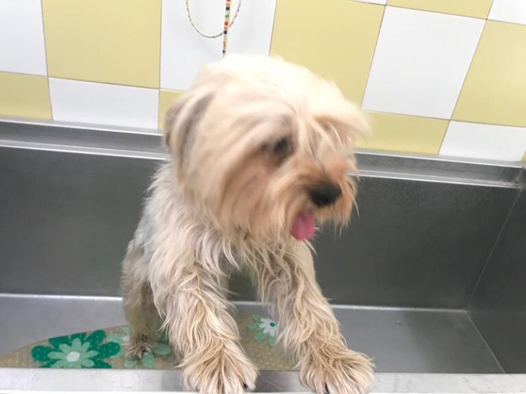 multimedia-foto59227-383-1